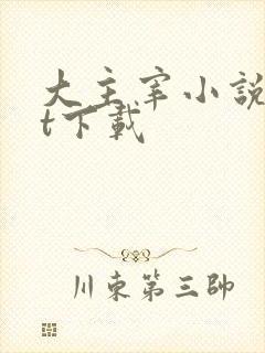 大主宰小说txt下载