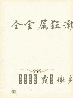 全金属狂潮小说