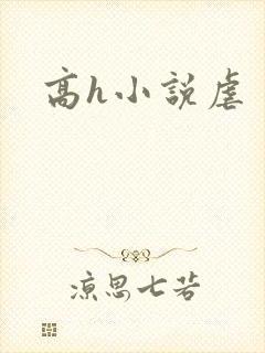 高h小说虐