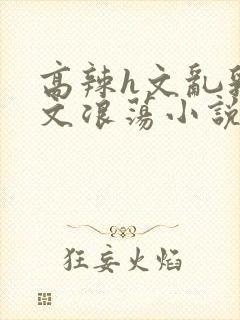 高辣h文乱乳h文浪荡小说苏柔