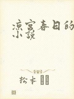 凉宫春日的忧郁小说