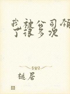 我被公司领导C了很多次