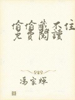 偷偷藏不住小说免费阅读