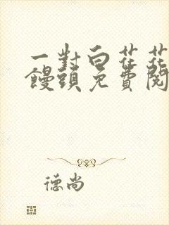 一对白花花的大馒头免费阅读