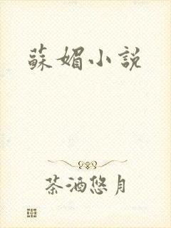 苏媚小说