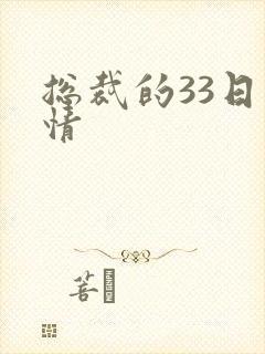 总裁的33日索情