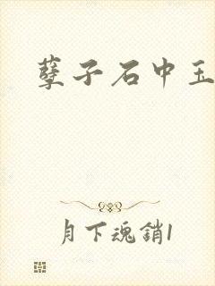 孽子石中玉