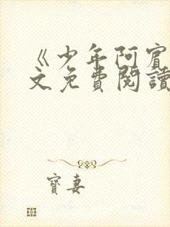 《少年阿宾》全文免费阅读