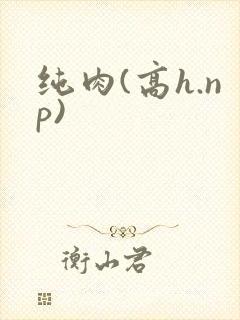 纯肉(高h.np)