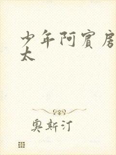 少年阿宾房东太太