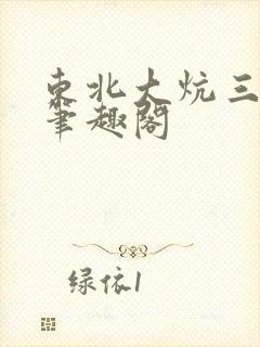 东北大炕三部曲笔趣阁