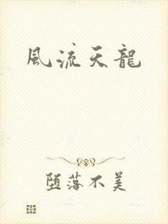 风流天龙