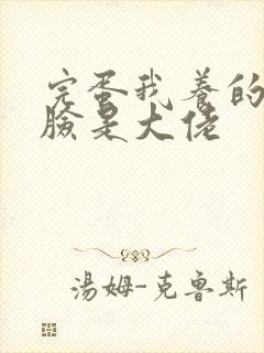 完蛋我养的小白脸是大佬