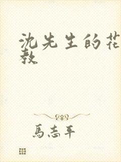 沈先生的花式调教