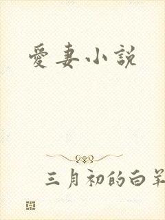 爱妻小说
