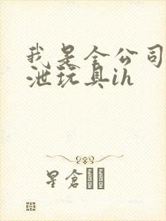 我是全公司的发泄玩具ih