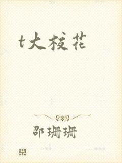 t大校花