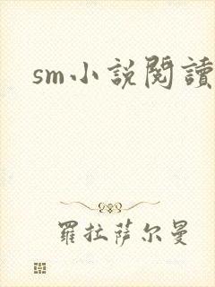 sm小说阅读