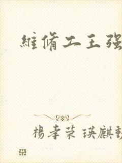 维修工王强张婷