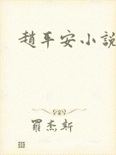 赵平安小说主角