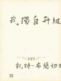 我独自升级漫画