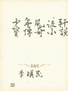 少年风流轩辕大宝传奇小说