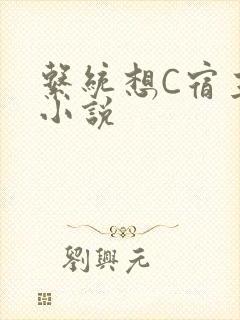 系统想C宿主的小说