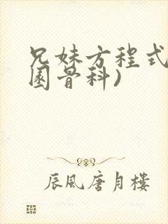 兄妹方程式(校园骨科)