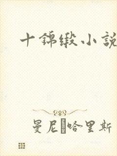 十锦缎小说