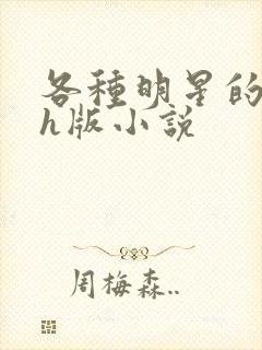 各种明星的综艺h版小说