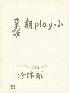 孕期play小说
