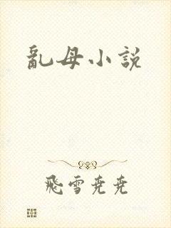 乱母小说