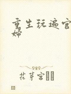 重生玩遍官场贵妇