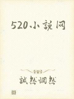 520小说网