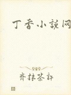 丁香小说网