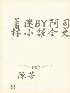 着迷BY阿司匹林小说全文免费阅读