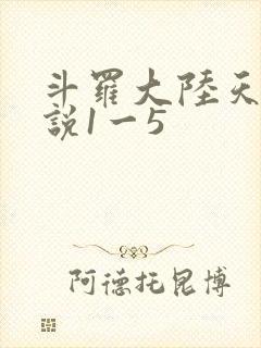 斗罗大陆天狂传说1一5