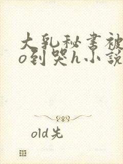 大乳秘书被cao到哭h小说