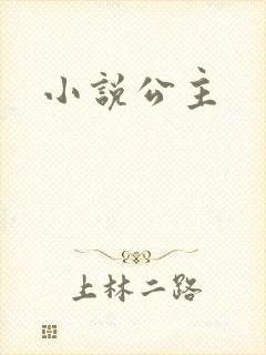 小说公主