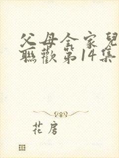 父母全家儿女大联欢第14集