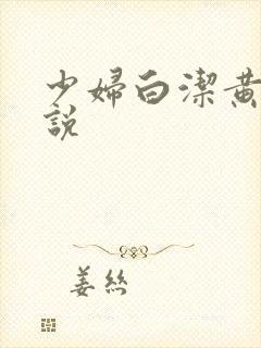 少妇白洁黄色小说