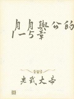 月月与公的激情1一5章