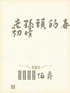 老孙头的春天林初晴