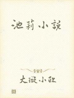 池莉小说