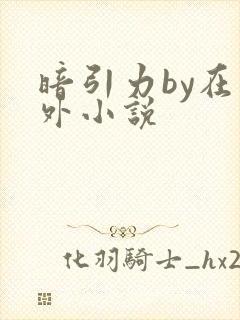 暗引力by在言外小说