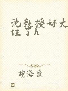 沈教授好大含不住了h