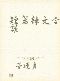 短篇辣文合集小说