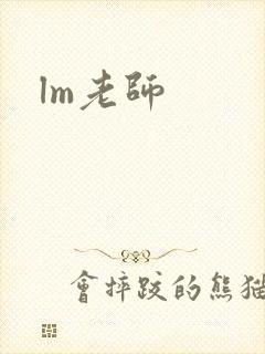 lm老师