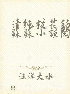 清纯校花的日常苏苏小说阅读全文