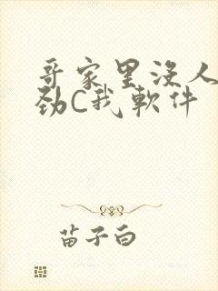 哥家里没人使点劲C我软件